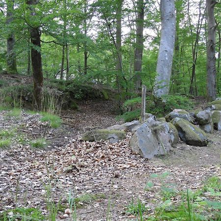 Unique Rustic Property In Skane Linderod Bagian luar foto