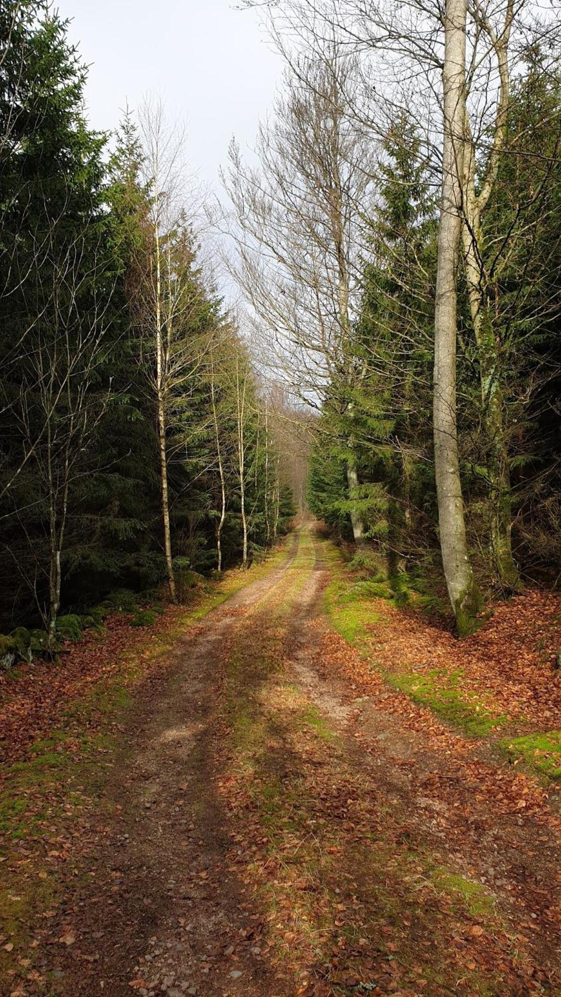 Unique Rustic Property In Skane Linderod Bagian luar foto