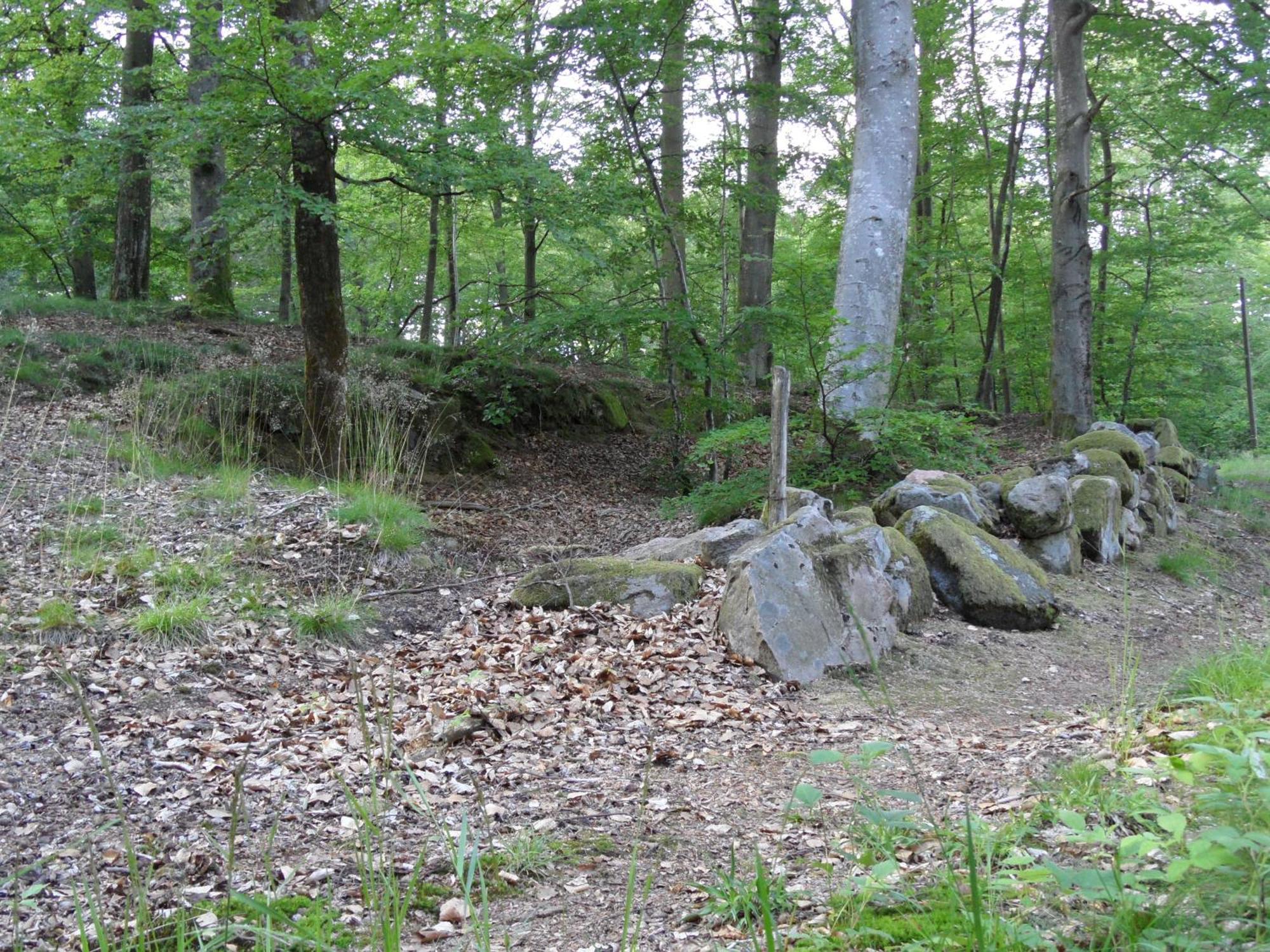 Unique Rustic Property In Skane Linderod Bagian luar foto